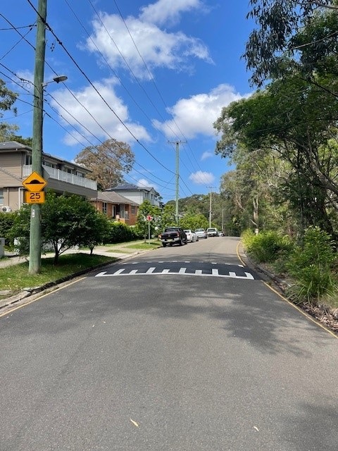 speedhump.jpg