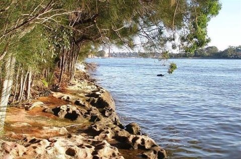 Waterway in Lane Cove