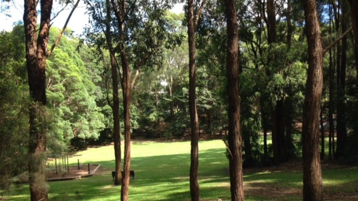 Photo of trees and shaded area at Helen Street Reserve