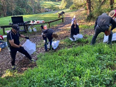 Golf-Course-Bushcare.jpg