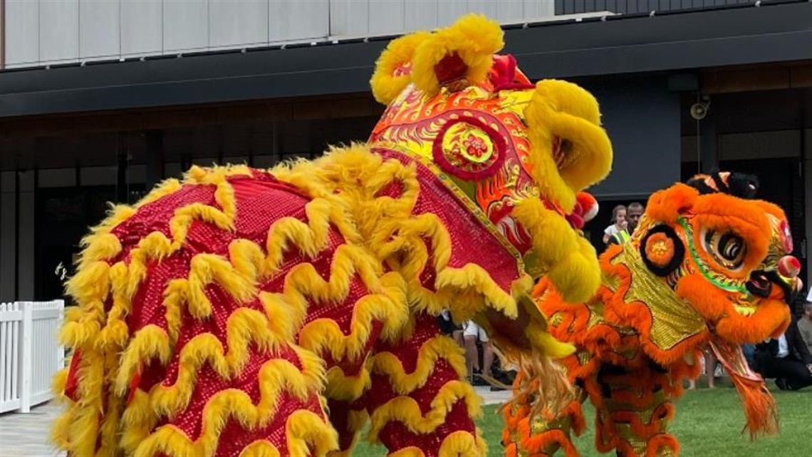 Lion dance