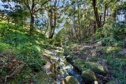 Bushland on the property of 14 Gay Street Lane Cove