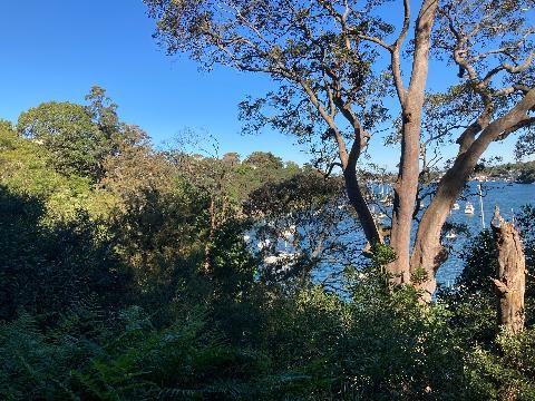 Location shot with views over water 