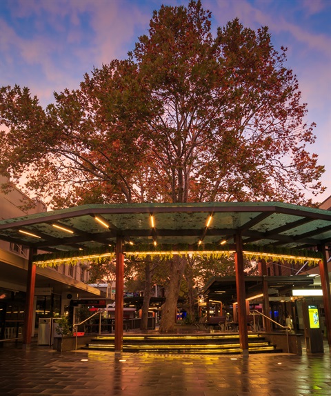 O18-Russell_Hunter__rus.hunter_gmail.com_-Autumn_Dawn_in_Lane_Cove_Plaza_147.jpg